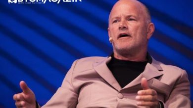 Bitcoin Destekçisi Mike Novogratz Daha Fazla SEC Davası Bekliyor 4