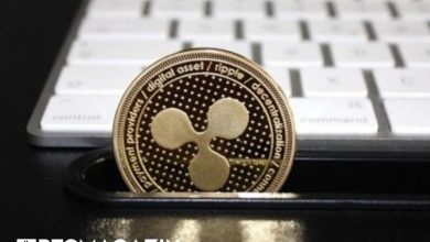 Eski SEC Yetkilisi John Reed Stark, Ripple Davası Kararını Eleştirdi 5