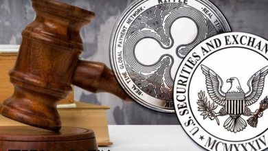 Ripple Davası Devam Ederken, Ripple Avukatı SEC'i Sert Eleştirdi 2