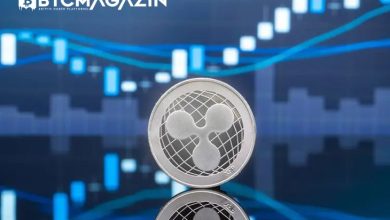 Tanınmış Kripto Analisti Ripple Davası Sonucunda XRP Fiyatının Ulaşacağı Seviyeyi Tahmin Etti 3