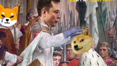 Dogecoin (DOGE) Fiyat Tahmini: Elon Musk'ın Tweetleri Dogecoin'i 1 Dolara Taşıyabilir mi? 7
