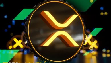 Kripto Avukatı Ripple (XRP) Fiyatı Hakkındaki Tahminlerini Açıkladı: XRP ve Bitcoin İlişkisi 8