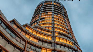 Ripple, Uluslararası Ödemeler Bankası (BIS) ile İşbirliği Yapacak 6