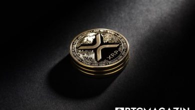 Ripple ve SEC Davası Devam Ederken Balinalar XRP Satıyor; Daha Fazla Fiyat Düşüşü mü Bekleniyor? 8