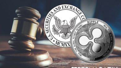 Ripple vs. SEC Davası: Flare Network CEO'su Sürecin Etkilerini Değerlendirdi 7