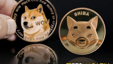 Shiba Inu'nun Popülaritesi Dogecoin Fiyatına Etki Edecek Mi? İşte Ünlü Analistin Tahmini 16