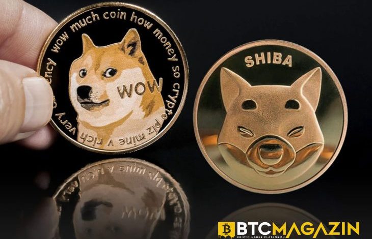 Shiba Inu'nun Popülaritesi Dogecoin Fiyatına Etki Edecek Mi? İşte Ünlü Analistin Tahmini 1