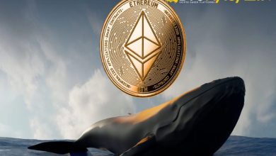 Son Piyasa Çöküşünün Ardından Ethereum Balinalarının Sayısı Artışa Geçti 2