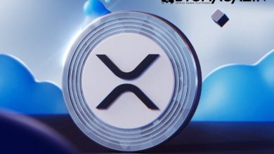 XRP Savunucusu John Deaton, Ripple Davasında Temyiz Konusunda Umudunu Koruyor 6