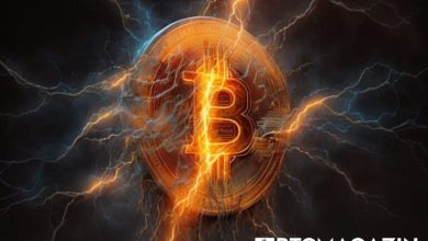Coinbase'in Bitcoin Lightning Network Duyurusuna Cathie Wood'dan Destek 14