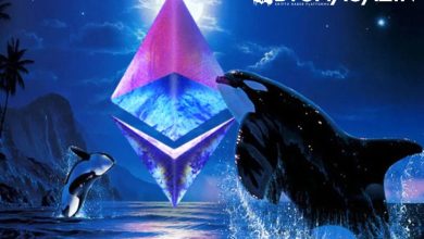 Ethereum Balinaları Harekete Geçti: Büyük Satışlar ve Borsa Transferleri Gözlemlendi 3