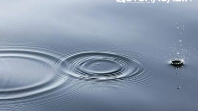 Ripple'ın (XRP) On-Chain Etkinliği Artıyor: Binance'den Büyük Bir Transfer Gerçekleşti 3