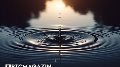 Ripple CBO'su Eric van Miltenburg: ABD Düzenleyicilerine Rağmen Olumlu İvme Devam Ediyor 9
