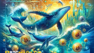 Bitcoin Balinaları ve ETF Etkisi: Kripto Dünyasında Neler Oluyor? 5