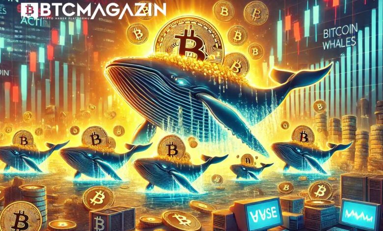 Bitcoin Balinaları Harekete Geçti: Fiyat Çöküşünden Sonra Büyük Cüzdanlara Giriş Arttı 1