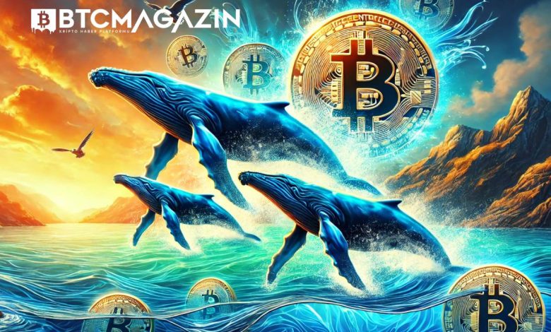 Bitcoin Balinaları, Fiyat 60.000 Doların Altına Düşünce Harekete Geçti 1