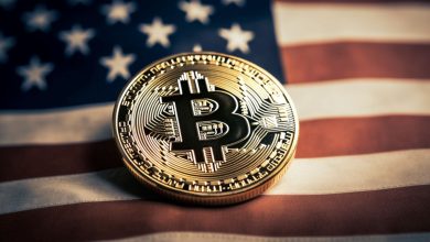 Ripple CEO’su: ABD, Dünyanın Kripto Merkezi Olmaya Hazır 4