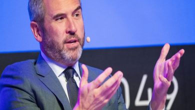 XRP Fiyatı Yükseldi, Ripple CEO’su Yeni ETF Başvurusunu Değerlendirdi! 9