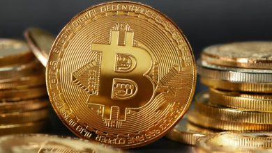 Bitcoin Balinaları ve Dev Fonlar Dipten Topluyor: 20.000 BTC’lik Alım Yeni Zirvelerin Habercisi mi?