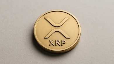 Çinli Halka Açık Şirketin 300 Milyon Dolarlık XRP Hamlesi!