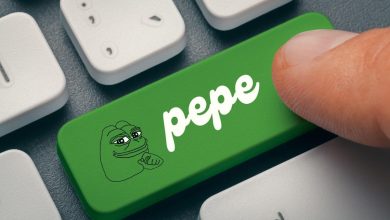 PEPE Balinasından Şaşırtan Hamle_ 5 Milyon Dolarlık Token Binance’e Aktarıldı