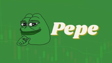 PEPE’de Sert Düşüş: Meme Coin Yatırımcıları 2,8 Milyon Dolarlık Tasfiye ile Sarsıldı