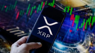 Kuzey Amerika’da Bir İlk: Purpose Investments’tan Spot XRP ETF 1