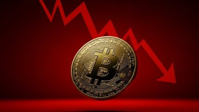 Peter Schiff'e Göre Bitcoin (BTC) Bu Seviyeye Düşebilir!