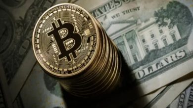 Bitcoin FED Faiz Kararı Öncesi Yükseliyor, Altcoinler Öne Çıkıyor
