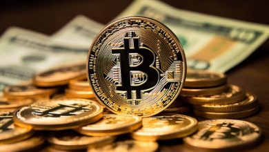 Eski Coinbase Yöneticisi Nick Tomaino: “Kriptonun Geleceği Paranın Ötesine Geçecek”