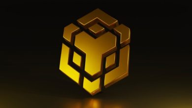 BNB Chain Rekor Kullanıcı Aktivitesiyle Dikkat Çekiyor