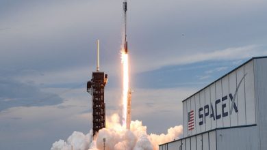 SpaceX’ten 268 Milyon Dolarlık Bitcoin Hamlesi: Dev Transfer, Kurumsal Satış Endişelerini Alevlendirdi