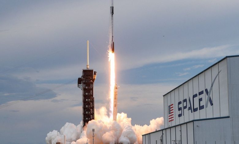 SpaceX’ten 268 Milyon Dolarlık Bitcoin Hamlesi: Dev Transfer, Kurumsal Satış Endişelerini Alevlendirdi