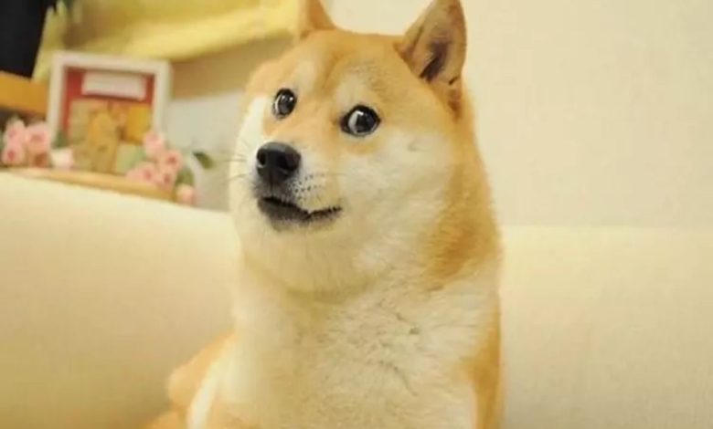 21Shares, Dogecoin’i İçeren İlk Kripto Endeks ETF’lerini Piyasaya Sürdü