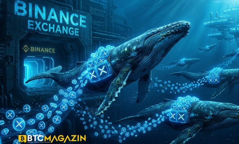Kriptoda Dev Rotasyon: XRP Balinaları Binance’ten Diğer Borsalara Kaçıyor!