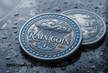 Rain Coin ($RAIN) Fiyat Tahmini: 2026 - 2030 Gelecek Analizi
