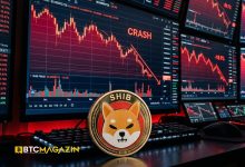 SHIB Yatırımcılarının %87'si Zararda: Borsalara Dev Token Akışı Başladı!