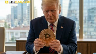 Trump’ın İkinci Döneminde 45 Binden Fazla Bitcoin Milyoneri Yok Oldu!