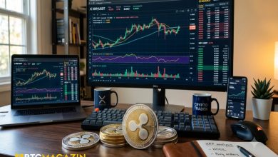 Ünlü analist uzun vadeli XRP stratejisini açıkladı_ Zirve beklenmeyecek! (1)
