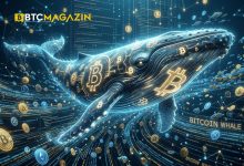 383 Milyon Dolarlık Bitcoin Yıllar Sonra İlk Kez Hareket Etti!