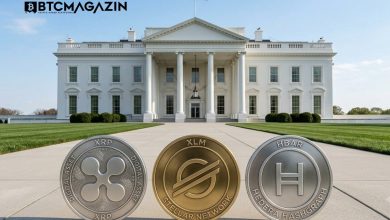 ABD’den tarihi kripto hamlesi: Temmuz ayı XRP, XLM ve HBAR için dönüm noktası olabilir!