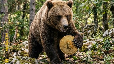 Bitcoin’de Tarihi Dip Sinyali: Yarısından Fazlası Zararda, Ayı Sezonunun Sonu mu? 3 Bitcoin’de Tarihi Dip Sinyali: Yarısından Fazlası Zararda, Ayı Sezonunun Sonu mu?