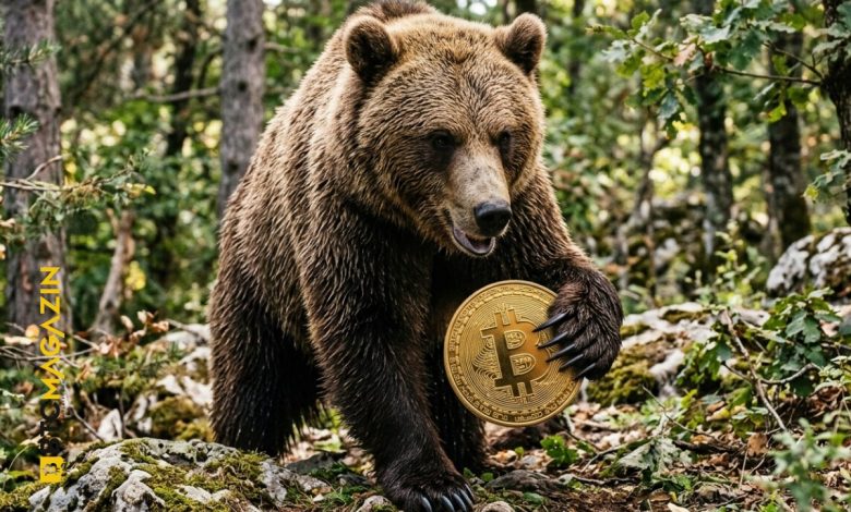 Bitcoin’de Tarihi Dip Sinyali: Yarısından Fazlası Zararda, Ayı Sezonunun Sonu mu?