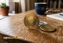 Cardano (ADA) Neden Uçuşa Geçti? İşte Herkesin Konuştuğu O Gelişmenin Detayları