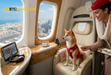 Emirates Uçak Biletleri Satışında Shiba Inu ve 29 Kripto Parayı Kabul Edecek