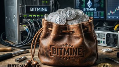 Ethereum Balinası Bitmine Alımları Yavaşlattı, Kendi Hisselerini Topluyor! 5 Ethereum Balinası Bitmine Alımları Yavaşlattı, Kendi Hisselerini Topluyor!