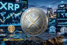 Ripple Balinaları Düşüş Döneminde Milyarlarca XRP Biriktirdi!