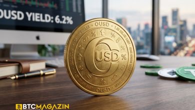 Tether ve Circle’a Dev Rakip: Visa, BlackRock ve BNY Destekli OUSD Geliyor