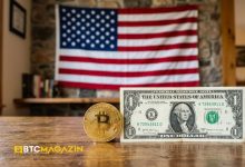 ABD Bitcoin İthal Edip Dolar İhraç Ediyor!