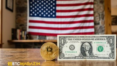 ABD Bitcoin İthal Edip Dolar İhraç Ediyor!